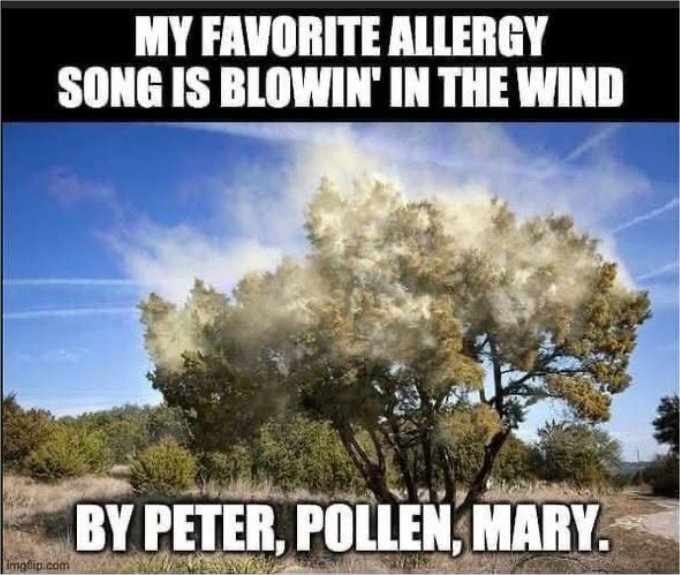 all song majorgeeks.jpg